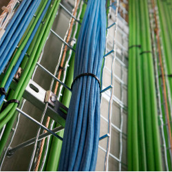 Coliere plastic strangere, zimtate, negre, 2.5X160MM INDEX