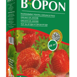 BIOPON ingrasamant pentru capsuni si fragi 1 kg