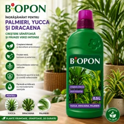 BIOPON ingras palmieri, yucca and dracaena 0,5 l