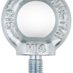 43862 Surub cu Ochi M6 0.7T / EVM06