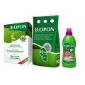 Gazon