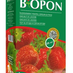 BIOPON ingrasamant pentru capsuni si fragi 1 kg