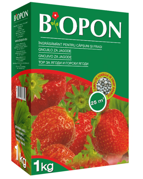 BIOPON ingrasamant pentru capsuni si fragi 1 kg